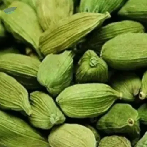 Cardamom Fresh Green