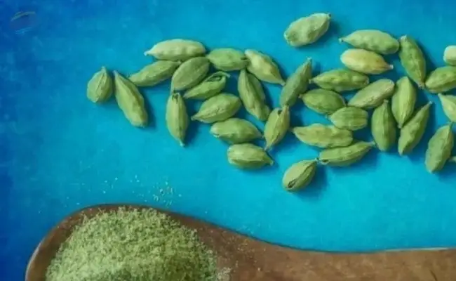 Green cardamom