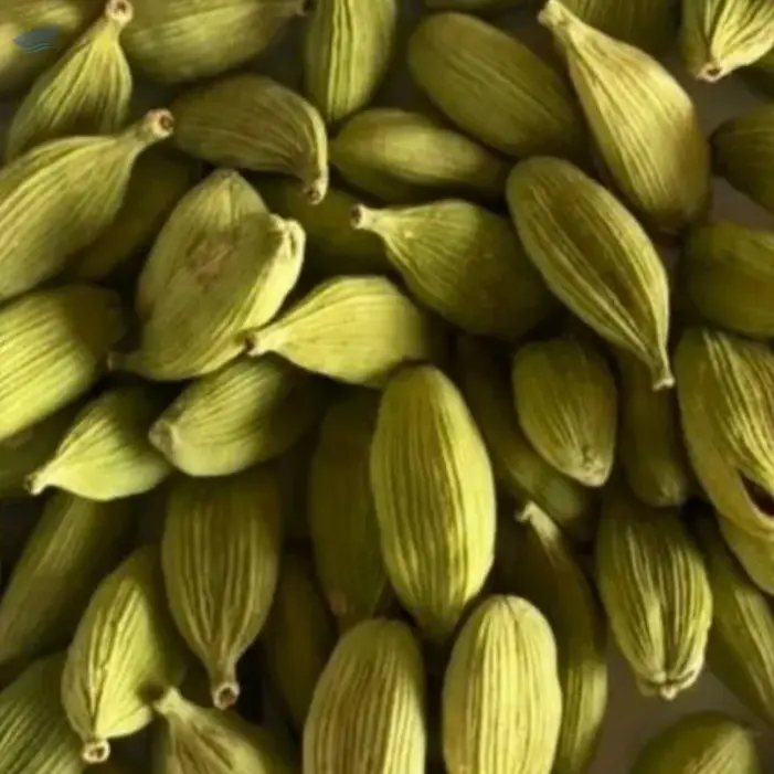 Cardamom