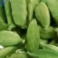 Cardamom Quality