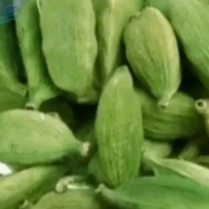 Cardamom Quality