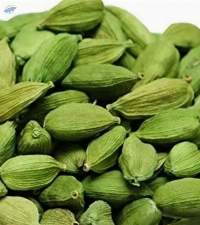 Cardamom spice Whole