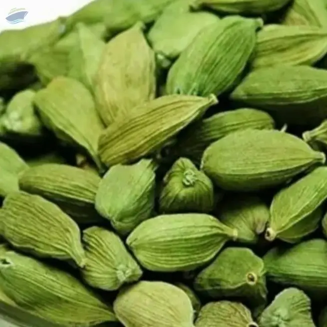 cardamom (Anjila) species
