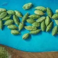 Cardamom Silk Essence