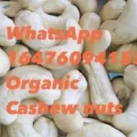 Organic Cashew Nuts RCN
