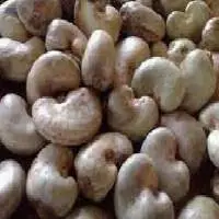 Row Cashew Nuts RCN