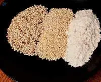 Sorghum