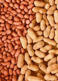 Peanuts