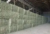 Alfalfa Hay