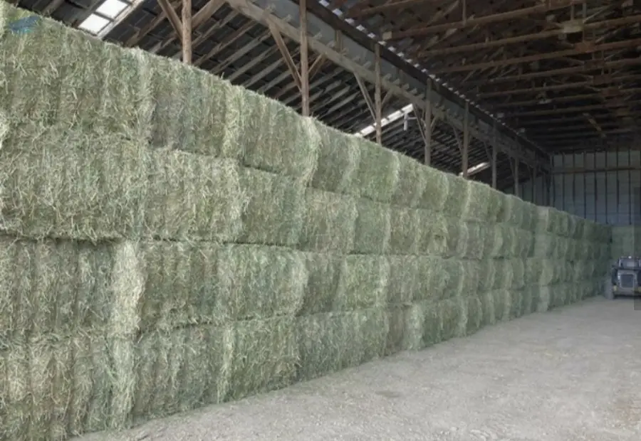 Alfalfa Hay