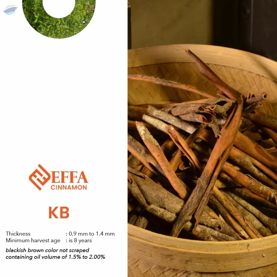 Cinnamon KB