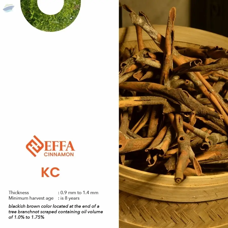 Cinnamon KC
