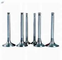 Engine Valve