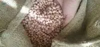 Peanut oil and Ground Peanut Seed
