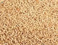 All type Sesame seeds