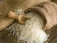 Basmati & Non- Basmati Rice
