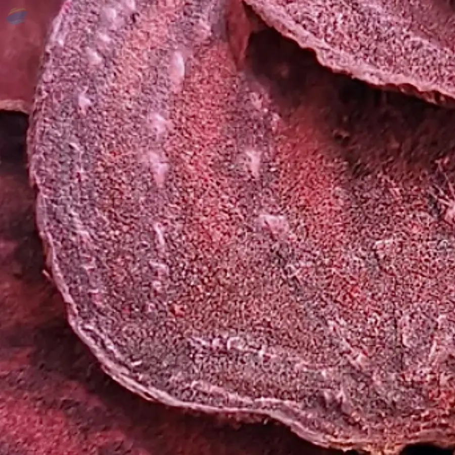 Beetroot