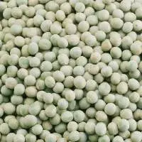 Indian Pea