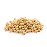 Soybean