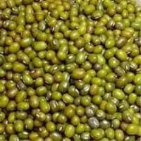 Green Gram or Mung Bean