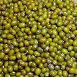 Green Gram or Mung Bean
