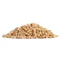 Sorghum / Jawari