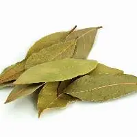 Bay Leaf