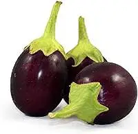 Brinjal