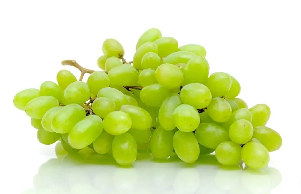 Grapes