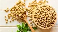 Soybean Whole