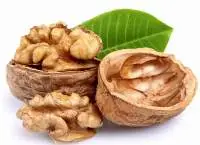Walnut