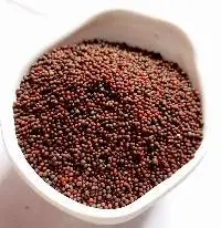 Mustard Seeds