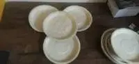 8" Round Areca Leaf Plates