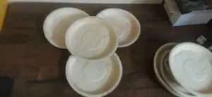 8" Round Areca Leaf Plates