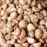Betel Nut