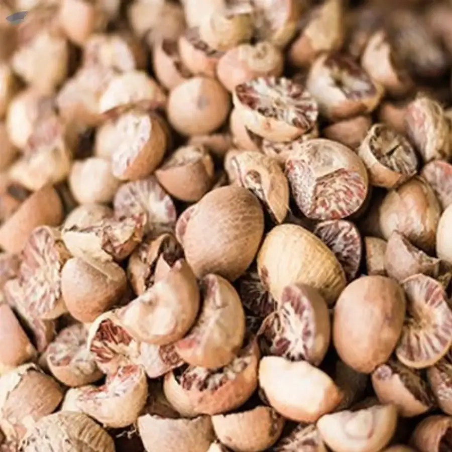 Betel Nut