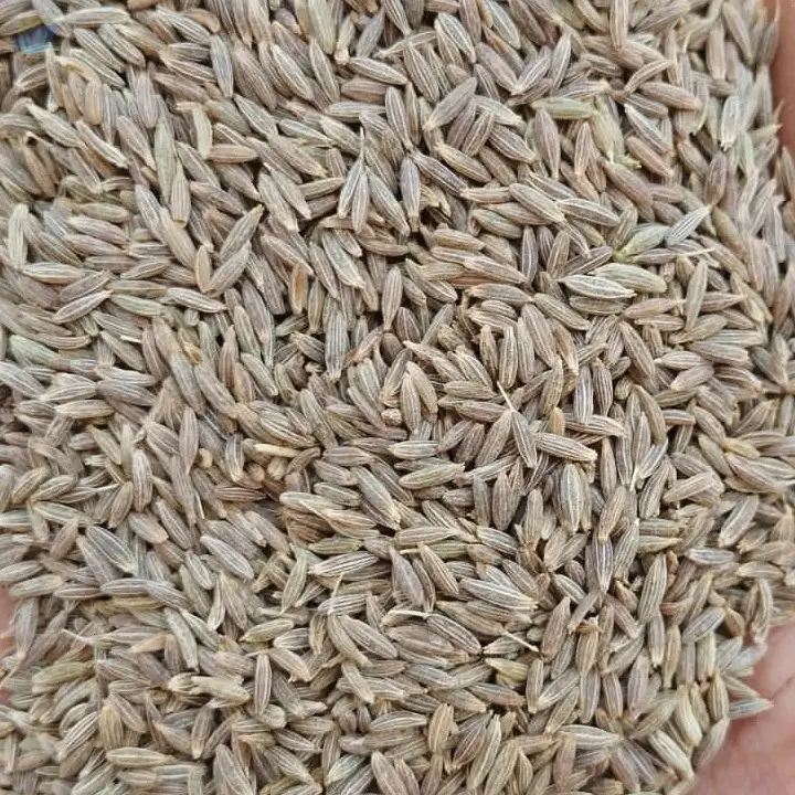 Cumin