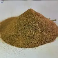 Amla Powder