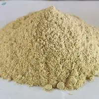 Shatavri Powder