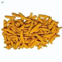 Turmeric Finger