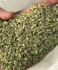 Fennel Seeds