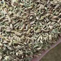 Fennel Seeds