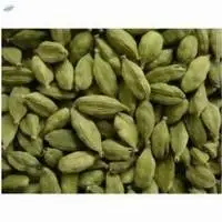 Cardamom