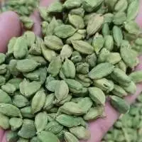 Cardamom