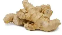Ginger