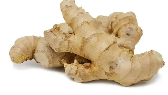 Ginger