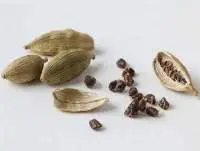 Cardamom