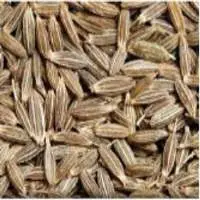 Cumin Seeds