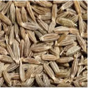 Cumin Seeds