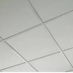 Commercial Ceiling